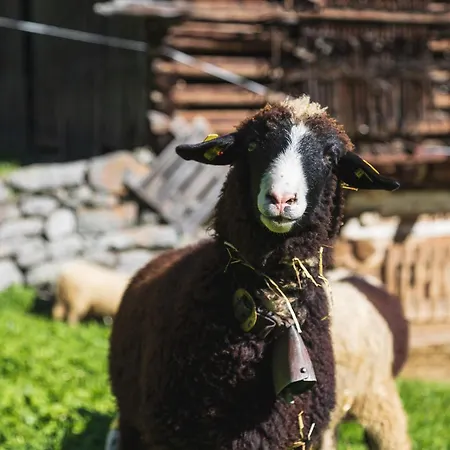 Mariedl 펜션 쉬룬즈